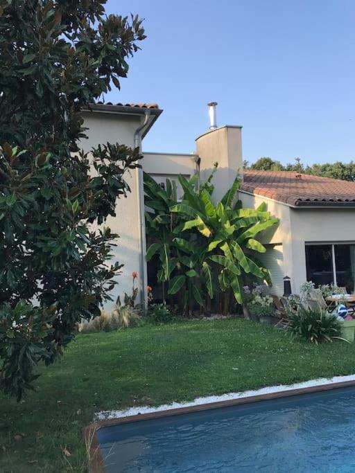 Le Calme Aux Portes De Toulouse Piscine, Clim Colomiers Exteriör bild